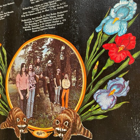 Charlie Daniels Band “Fire on the Mountain” vinyl LP - Picture 7 of 16